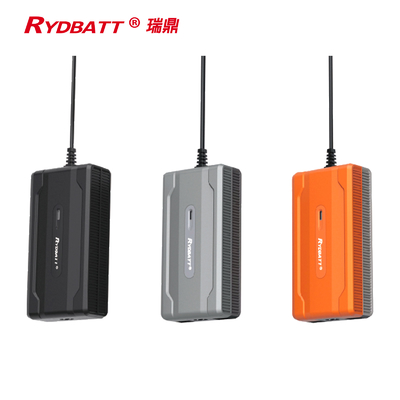 RYDBATT Li ion Battery Charger 120W Plug In Type For Ebike